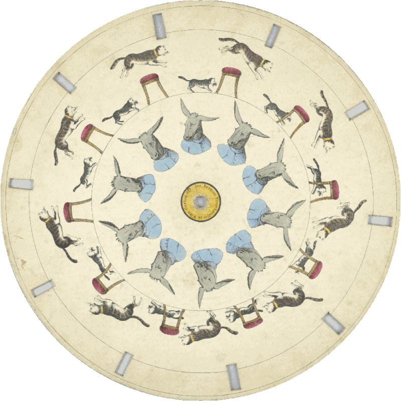 800px-Optical_Toy,_Phenakistiscope_Disc_with_Cats_and_Donkey,_ca._1830